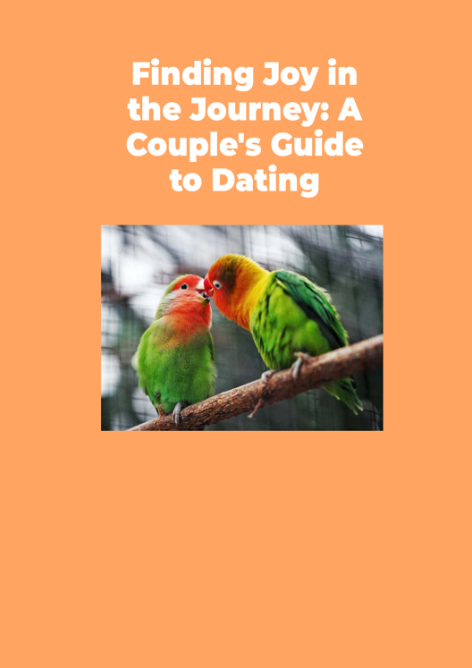 Finding Joy In The Journey A Couple S Guide To Dating